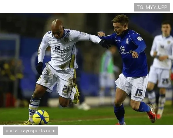 洛里昂对阵尼斯，主队主场韧性或阻对手止颓